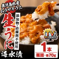 ＼テレビで紹介されました！／鹿児島県産うに使用！尾塚水産の生うに海水漬(70g×1本) 国産 鹿児島県産 阿久根市 雲丹 ウニ 魚介 魚貝 海産物 海鮮丼 瓶詰 瓶詰め 小分け セット 冷凍配送 刺身 海鮮丼【尾塚水産】akn004-14