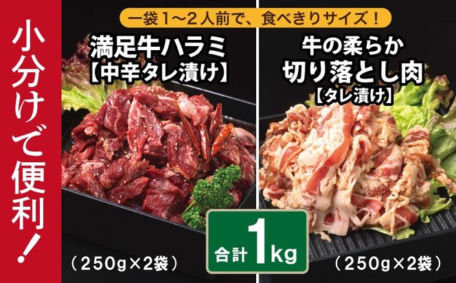 G3359 【タレ漬け牛肉2種セット】 満足牛ハラミ・牛肉切り落とし 合計1kg 【味付け ハラミ 小分け 焼くだけ 簡単調理 BBQ 牛肉 250g×各2P】