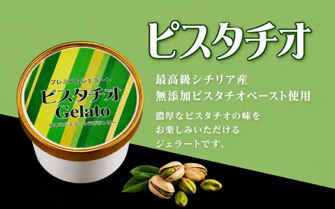 プレミアムジェラート／ピスタチオ 12個セット／ジェラート シャーベット アイスクリーム 100ml ／ゆあさジェラートラボラトリー【sgtb700-11】