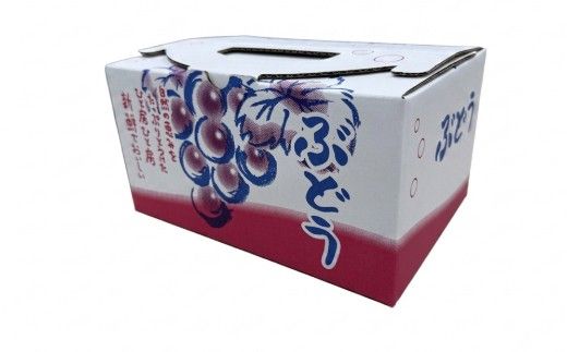 有機栽培シャインマスカット　約1kg(2〜5房)(A1103-1)