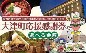 大津町 応援感謝券 選べる 3000円 5000円 10000円 15000円 20000円 30000円 観光協会《30日以内に出荷予定(土日祝除く)》熊本県 大津町 飲食店 宿泊施設---iso_knkknsy_30d_r7_13000_3i---