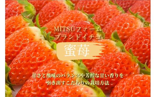 【先行予約】2026年産 京都 蜜いちご（あきひめ）（大サイズ（12粒）×1箱）約600g（2026年1月上旬～発送）　FM00012