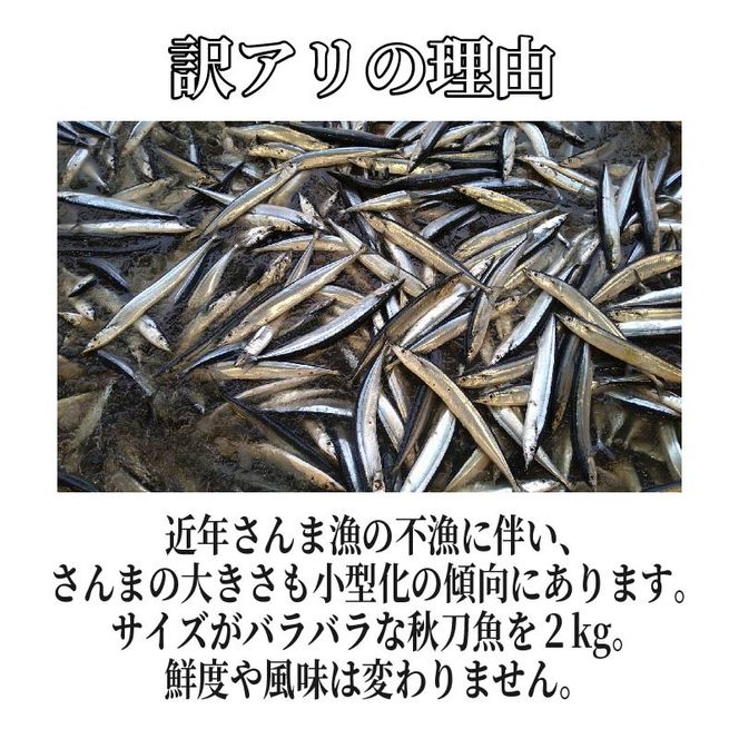 【期間限定】訳あり 鮮さんま 約2kg 冷蔵 20尾～25尾 さんま サンマ 秋刀魚 生さんま 【 yoshidasyouten013】