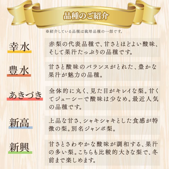 梨 旬 5kg 先行予約 2026年発送 平野果樹園 錦の梨 なし フルーツ 果物 デザート 配送不可:離島