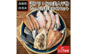 訳アリ：旬の美人干物 たっぷりおまかせセット5種類 322032_EK003