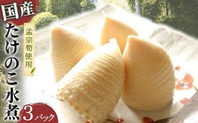 国産たけのこ水煮【中津川市瀬戸産】孟宗筍のみ使用 F4N-2379