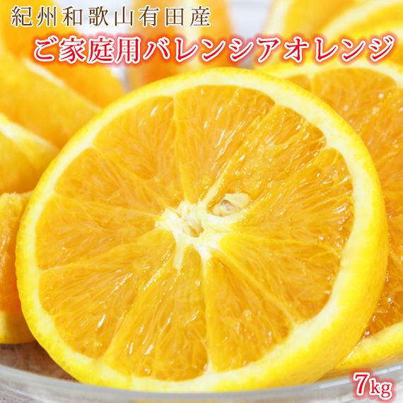 G7080_希少な 国産 バレンシアオレンジ 7kg 【家庭用 訳あり】【国産オレンジ オレンジ 柑橘 フルーツ 和歌山 有田】