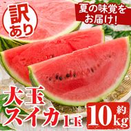 ＜先行予約受付中！2026年6月中旬以降順次発送予定＞訳あり！鹿児島県産 大玉スイカ(1玉・約10kg) 国産 果物 スイカ すいか 西瓜 フルーツ スイーツ スムージー ジュース【松永青果】akn053-21