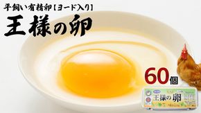 王様の卵 ヨード入 60個 (55個+割れ保障5個 ) 平飼い 地鶏 有精卵 濃厚 卵 こだわり卵 たまご [AU001us]