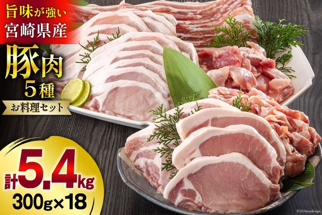 豚肉 小分け 切り落とし ロース 豚バラ スライス お料理セット 計5.4kg [甲斐精肉店 宮崎県 美郷町 31as0046] 肉 冷凍 宮崎県産 豚 ウデ 腕 切落し 詰め合わせ 真空包装 うす切り 薄切り