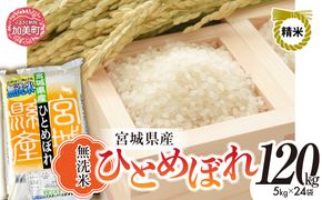 無洗米 令和7年度産 宮城 ひとめぼれ 120kg ｜ 菅原精米工業 宮城県 加美町 sw-hb120-mu-r7