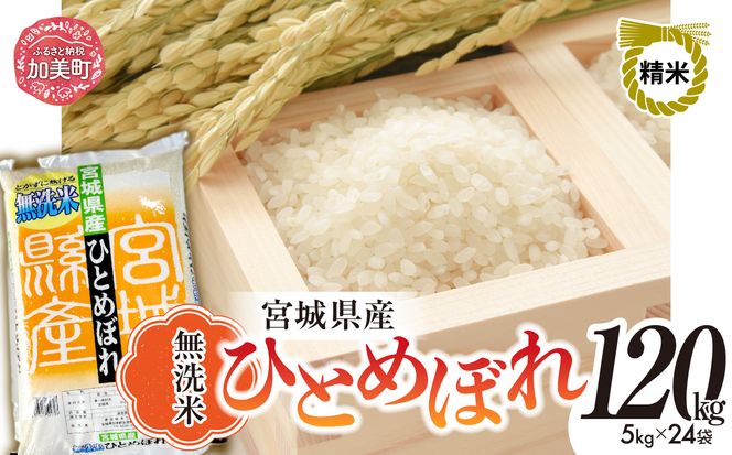 無洗米 令和7年度産 宮城 ひとめぼれ 120kg ｜ 菅原精米工業 宮城県 加美町 sw-hb120-mu-r7