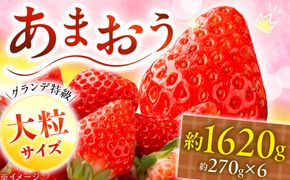 【2026年3月初旬より順次発送】あまおう いちご 1620g（約270g×6パック）《築上町》【株式会社HSP-テクノ】【配送不可地域：北海道・沖縄・離島】 いちご 苺 グランデ等級 果物 イチゴ[ABFG002]