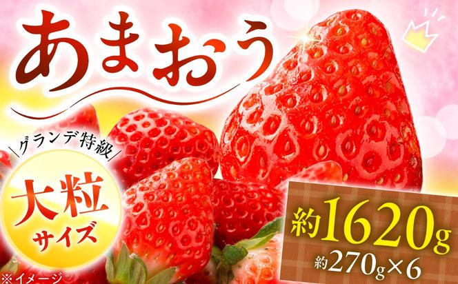 【2026年3月初旬より順次発送】あまおう いちご 1620g（約270g×6パック）《築上町》【株式会社HSP-テクノ】【配送不可地域：北海道・沖縄・離島】 いちご 苺 グランデ等級 果物 イチゴ[ABFG002]