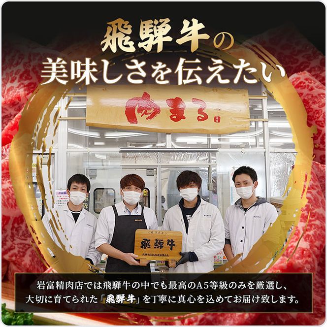 ふるさと納税　飛騨牛 牛肉 ステーキ ヒレ 150g×6枚 計900g A5 和牛 