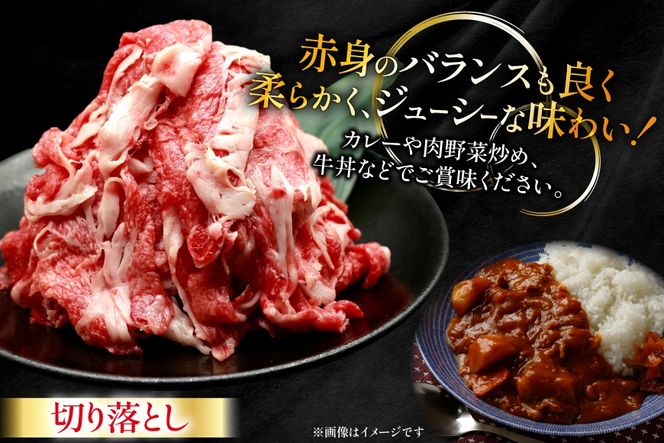 牛肉 宮崎牛 切り落とし 500g 4p 計 2kg [ローカルブランディング 宮崎県 日向市 452061410] 冷凍 小分け 黒毛和牛 黒毛 A4 A5 切落し 国産
