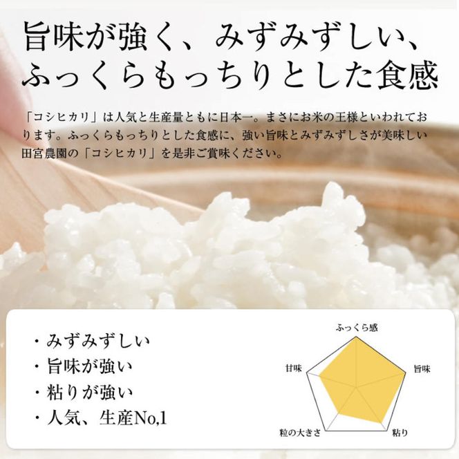 L-9 令和５年産【12ヵ月定期便】田宮さんちのコシヒカリ 5kg×12回