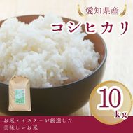 愛知県産 コシヒカリ 10kg｜米 お米 コメ こめ おにぎり 弁当 愛知県 美浜町 新米 ※北海道・沖縄・離島への配送不可