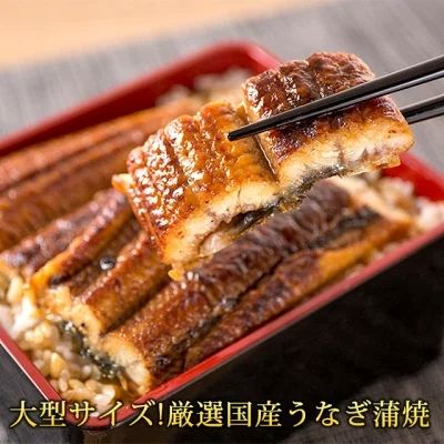 G7314_【土用の丑の日】＜7月26日までにお届け＞ふっくら柔らか 国産うなぎ蒲焼き 3尾