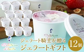 ジェラート騎士が贈る　ジェラートギフト12個セット【菓子 アイス ヨーグルト ジェラート スイーツ デザート 乳製品 仙台 ギフト グルメ 高級 甘味 贈り物 プレゼント クリーミー】 041009_GS004