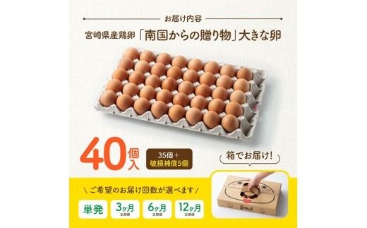 ※回数が選べる※宮崎県産鶏卵　「南国からの贈り物」大きな卵40個入り（35個+破損補償5個） 【たまご 卵 玉子 タマゴ】 [C01401]