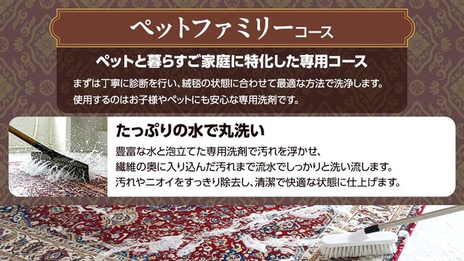 ＼選べるサイズ／宅配 絨毯 クリーニング チケット │  ペットファミリーコース 宅配 クリーニング 洗濯 洗浄 清潔 じゅうたん ラグ カーペット 丸洗い マット ニオイ対策 大掃除 ダニ 対策 敷物
