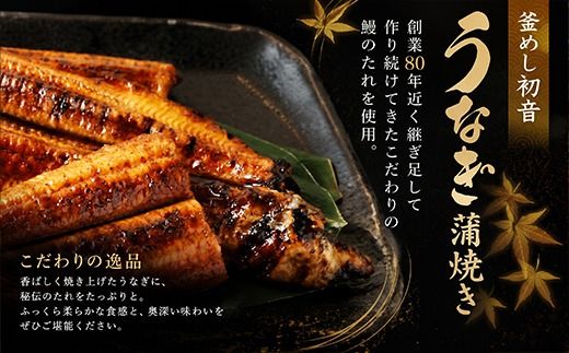 ７０年つぎ足しの秘伝のたれ！初音の厳選高知県産うなぎ蒲焼き２尾【3回定期便】_冷凍 調理済み 時短 湯せん お弁当 個包装 惣菜 小分け 子供 簡単調理 お取り寄せ 人気 湯煎 お湯ぽちゃ レトルト 温めるだけ_hn111
