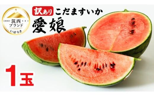 【 訳あり 】 こだますいか 「 愛娘 」 1玉 2026年産 先行予約 筑西ブランド こだまスイカ 小玉スイカ すいか スイカ フルーツ 果物 [AF083ci]