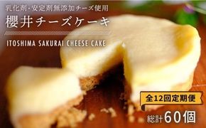 【全12回定期便】無添加チーズの櫻井チーズケーキ【5個入り】糸島市 / 糸島手作り工房 爽風 [ATA007] スイーツ チーズケーキ 個包装 濃厚 レモン 冷凍 冷蔵