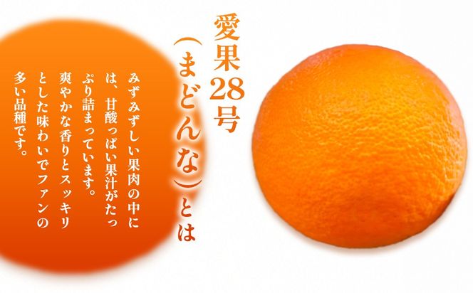 【先行予約】【数量限定】浅野農園の愛果28号（まどんな）家庭用計3kg※離島への配送不可（2026年12月中旬～2027年1月中旬頃に順次発送予定）IKTAC024