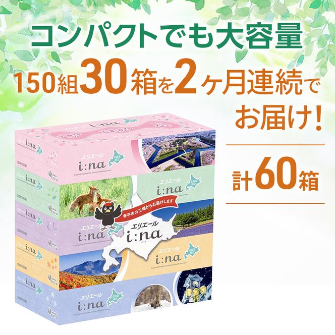 定期便 2ヵ月連続お届け エリエール ハーフサイズ 収納に便利 コンパクト 【少量6パック】 i:na 北海道 ティシュー 150組 5箱 6パック 計30箱 フィルムレス ふるさと納税限定デザイン イーナ 箱ティッシュ 備蓄品