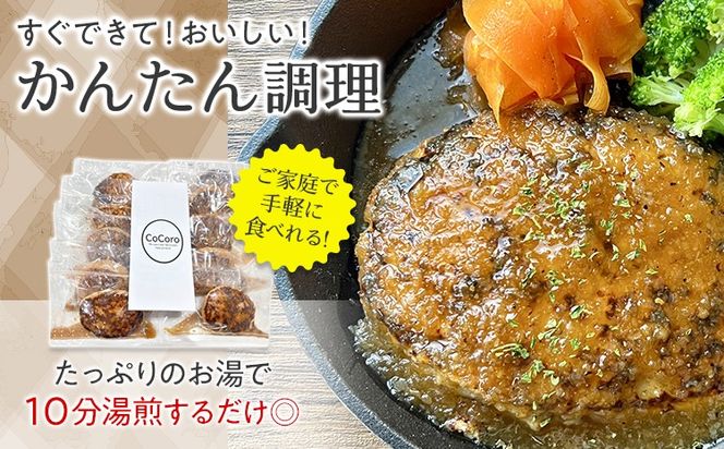 【定期便】手捏ね 和風ソース ハンバーグ （合計4回） ハンバーグ 手ごね 和風 国産 晩御飯 おかず お弁当 冷凍 合挽 レンジ 温めるだけ レンチン 湯銭 福岡 お土産 九州 福岡土産 福岡県