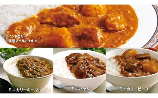 新宿 中村屋 レトルト カリー 食べ比べ セット 10種 13個入 人気 詰合せ 洋食 時短 カレー インドカレー ビーフ キーマ チキン バター チキン ハヤシ ベジタブル 野菜 長期保存 災害用 保存食 [DM009us] レンチン レンジ 