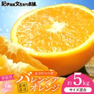 【2027年先行予約】バレンシアオレンジ 約5kg 湯浅町田村産 (無選別・果実サイズ混合・ご家庭用) 春みかん / 紀伊国屋文左衛門本舗_V7031
