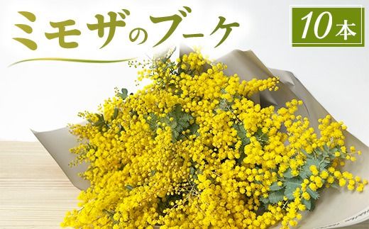 ミモザのブーケ 10本セット ※2026年3月中旬～4月中旬頃に順次発送予定 ※離島への配送不可
