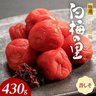 SF2010_特選紀州南高梅「白梅の里」昔しそ　430ｇ