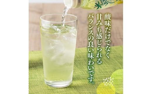 【3ヶ月定期便】サンA宮崎育ちのレモネード500mlＰＥＴ　24本入り【 全3回 飲料 栄養機能食品 レモン 檸檬 マルチビタミン配合 PET セット ジュース 長期保存 備蓄 送料無料】 [C03015t3]