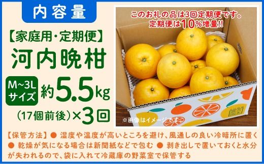 【先行予約】河内晩柑３回お届け定期便／家庭用愛南ゴールド 5.5kg×3回＜柑橘 希少 果物 国産 フルーツ みかん 蜜柑 定期便 家庭用 和製 グレープフルーツ ブランド 果実 ビタミン 愛媛県 鬼北町 ＞ ※2025年4月上旬～8月上旬頃に順次発送予定