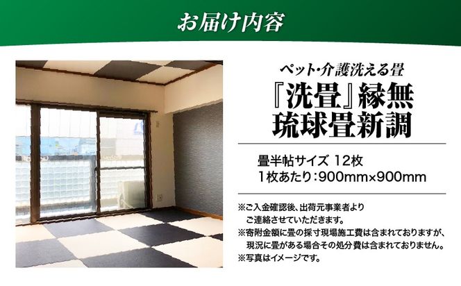 現代の名工カンパニー特製！ペット・介護洗える畳『洗畳』縁無琉球畳新調6帖サイズ（畳半帖サイズ12枚）　K348-014