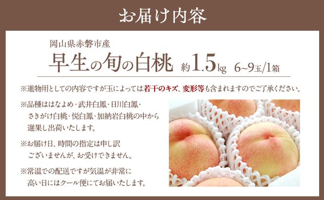 桃 2026年 先行予約 早生の旬の 白桃 約1.5kg 6～9玉 進物用 もも モモ フルーツ 果物 岡山 赤磐市産 農マル園芸 あかいわ農園