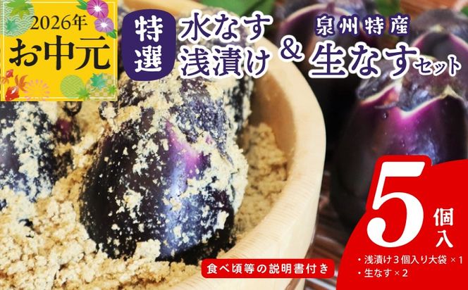 099H4575t 【お中元対応】特選水なす浅漬け＆生なす 5個入り