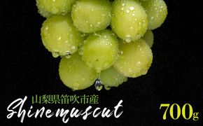【2026年発送★先行予約】シャインマスカット 1房 700g 山梨県笛吹市産 235-001-26y