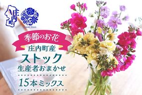 【R8.12月発送】ストック 15本 切り花 生産者おまかせ ミックス スプレータイプ スタンダードタイプ 先行受付 ピンク 黄色 紫 白 アラセイトウ 自宅 リビング 花 生花 花束 国産 庄内町フラワーラボ