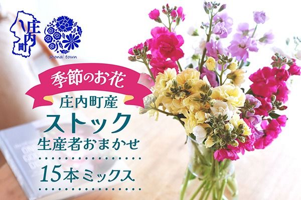 【R8.12月発送】ストック 15本 切り花 生産者おまかせ ミックス スプレータイプ スタンダードタイプ 先行受付 ピンク 黄色 紫 白 アラセイトウ 自宅 リビング 花 生花 花束 国産 庄内町フラワーラボ