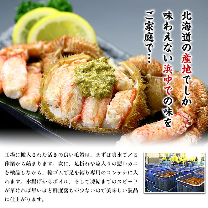 20-269 【甲羅組】北海道産　ボイル毛蟹