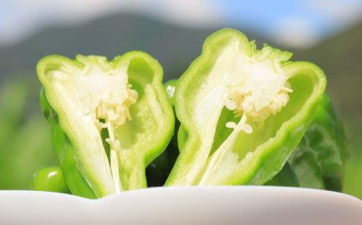 【全3回定期便】高知県産 植田ファームのこだわりピーマン 2kg〈2026年10月1日～2027年6月下旬〉 ピーマン 甘い 新鮮野菜 サラダ 野菜 おかず 詰め合わせ 絶品 お取り寄せ 美味しい 料理 おうちごはん 新鮮 高知県 土佐市【株式会社植田ファーム】[BQAT026]