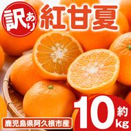 訳あり！紅甘夏(10kg) 国産 紅甘夏 柑橘 果物 フルーツ デザート 果実 期間限定 数量限定【古田果樹園】akn093-04