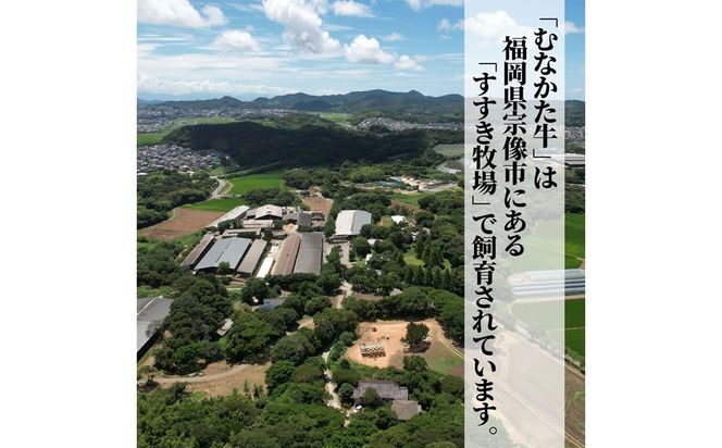 むなかた牛サーロインステーキ250g×2枚【道の駅むなかた】_HA2091 むなかた牛 サーロイン ステーキ 福岡県宗像市 宗像市 福岡 宗像