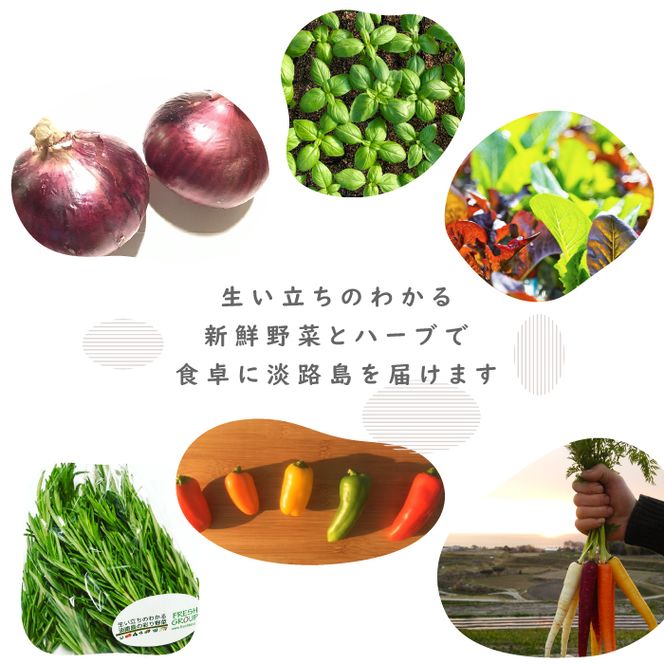 フレッシュグループ淡路島彩り野菜と香るハーブセット　野菜