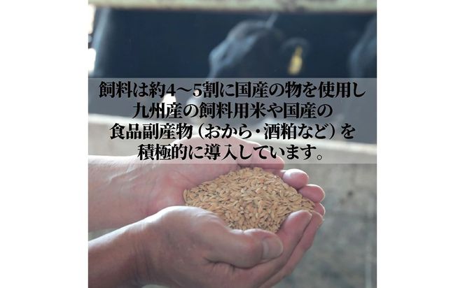 むなかた牛サーロインステーキ250g×2枚【道の駅むなかた】_HA2091 むなかた牛 サーロイン ステーキ 福岡県宗像市 宗像市 福岡 宗像